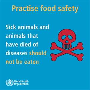sick animals and animals that have dies of diseases should not be eaten