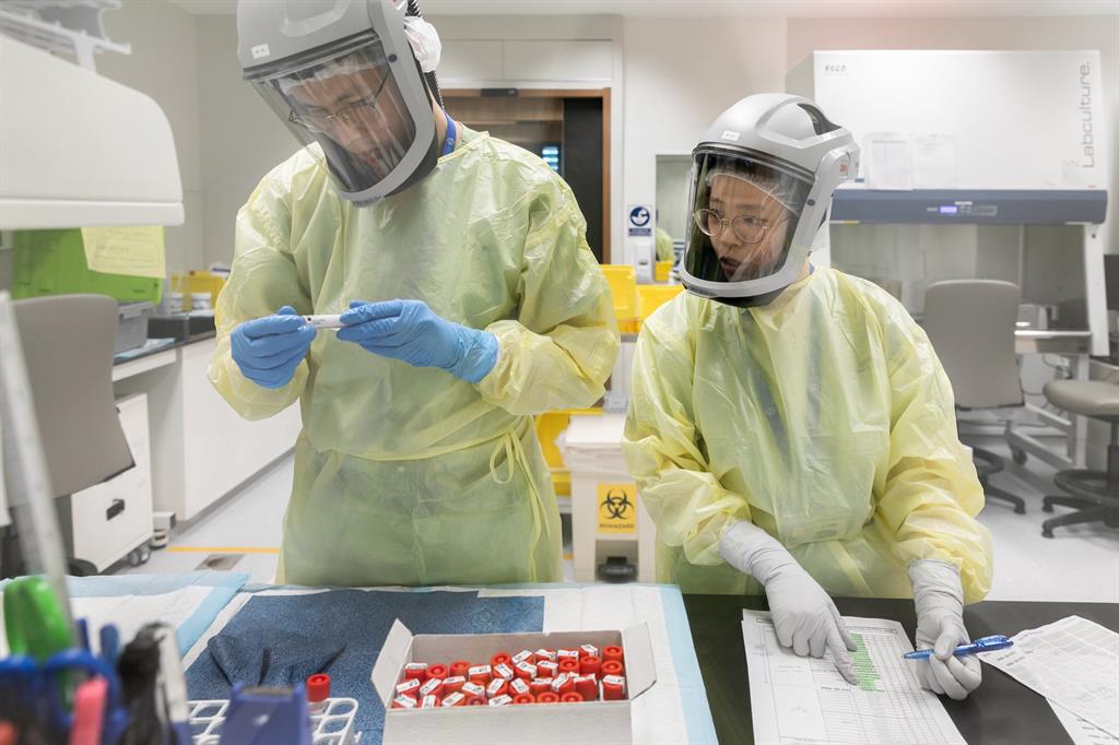 Medical technologists process SARS-CoV-2 samples