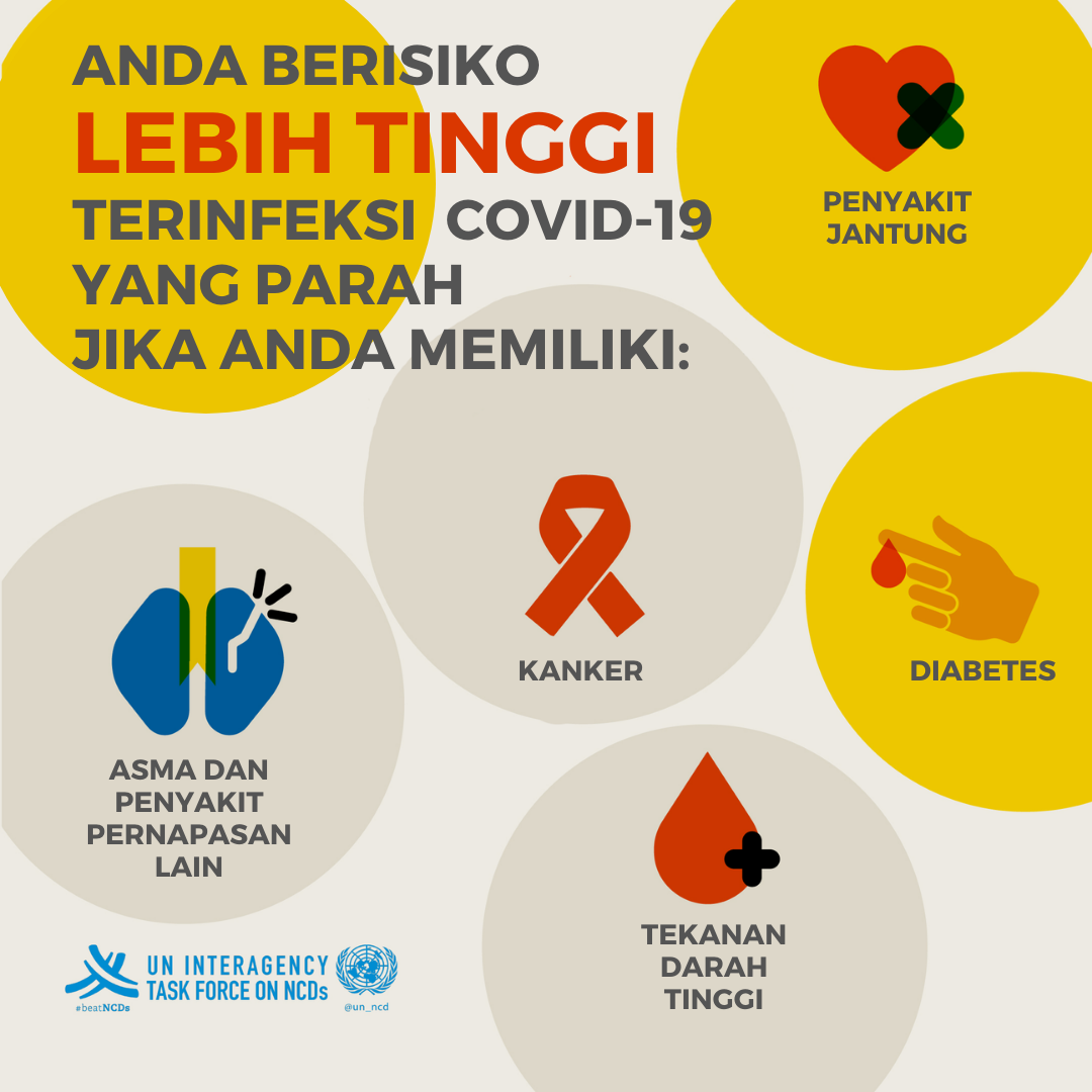 NCD 3 - BI