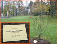 magnolia_for_lisa_200pix